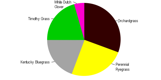 Horse Pasture Mix